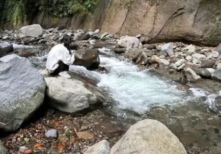 フィールドレコーディング(5 / 5)